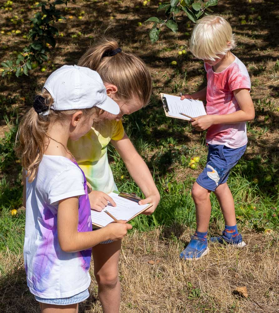 Ferienprogramm der Naturpark-Detektive im Obstgut Leisberg