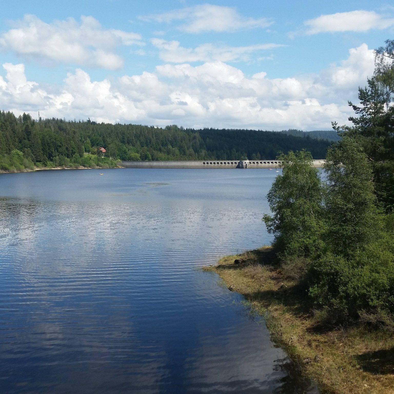 Tümpel Teich Weiher See was ist der Unterschied
