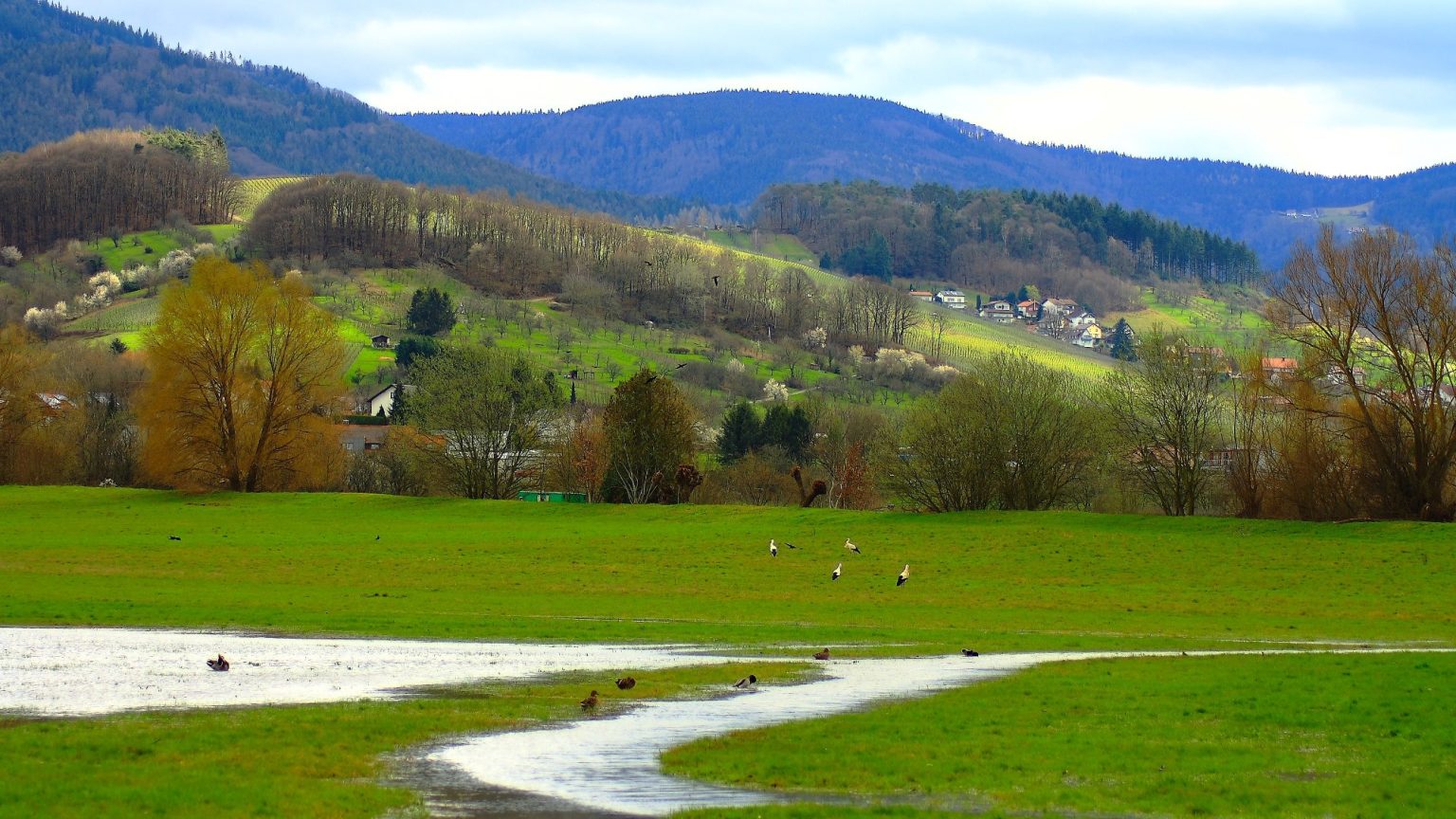 Tümpel Teich Weiher See was ist der Unterschied