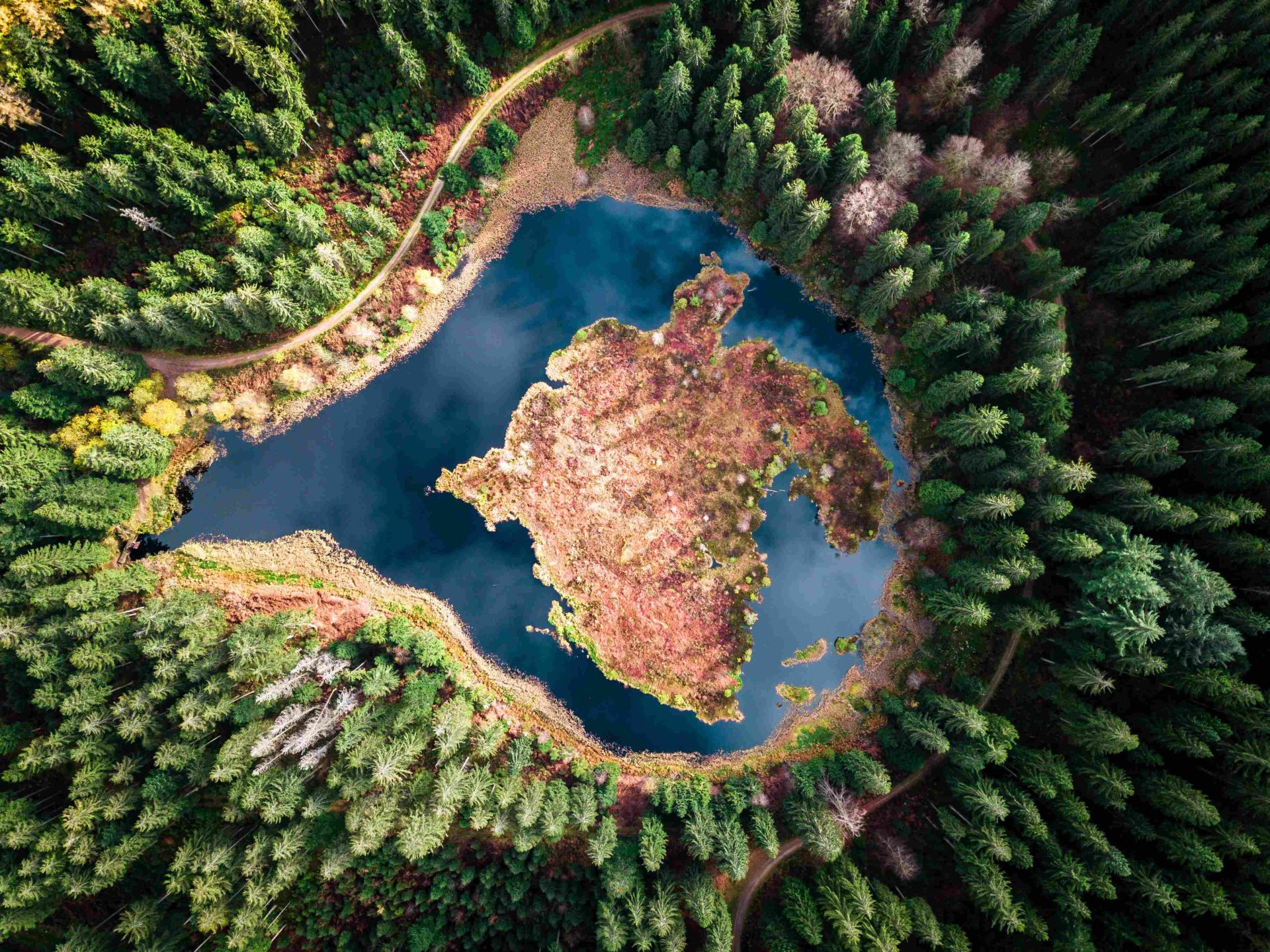 Tümpel Teich Weiher See was ist der Unterschied