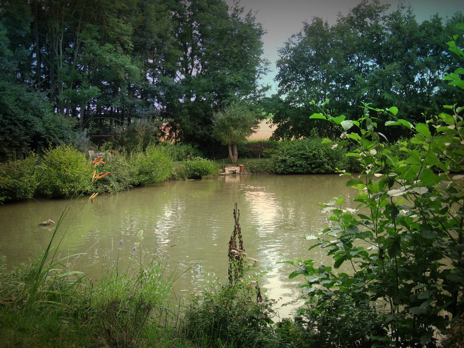 Tümpel Teich Weiher See was ist der Unterschied