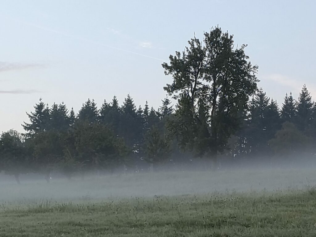 Wie entsteht Nebel