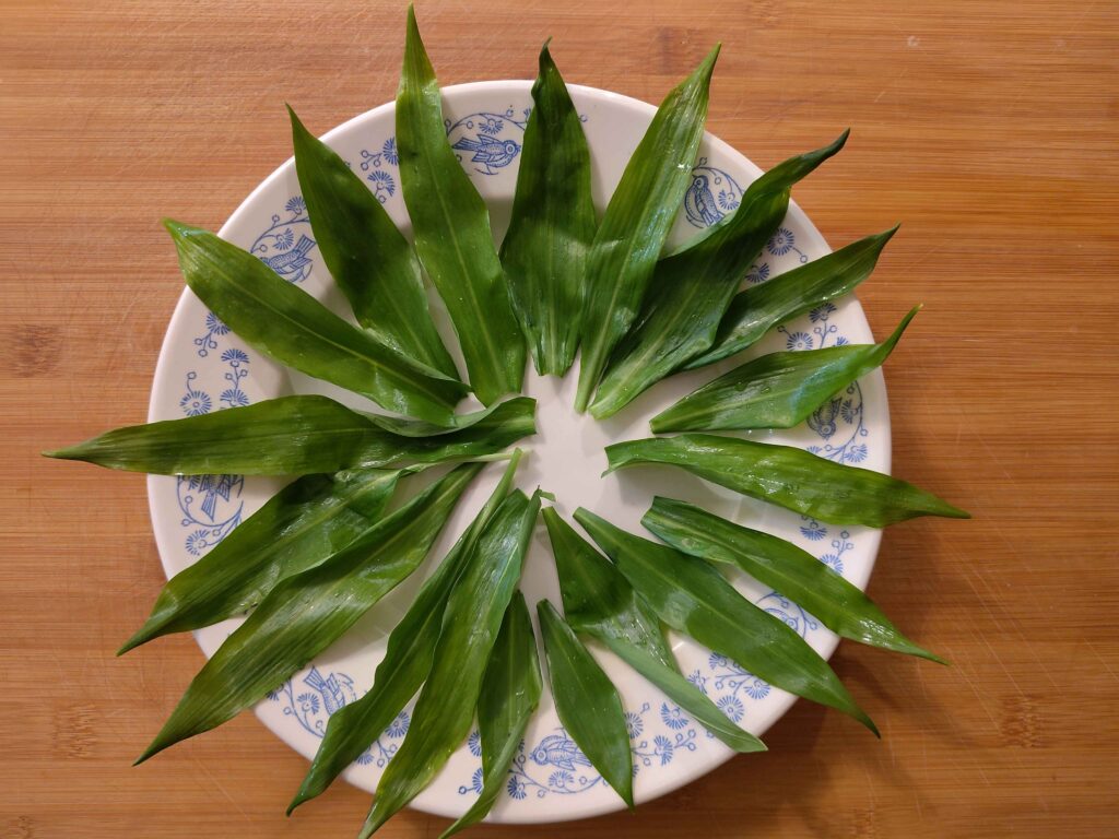 Frühlings-Wrap im Bärlauch-Nest