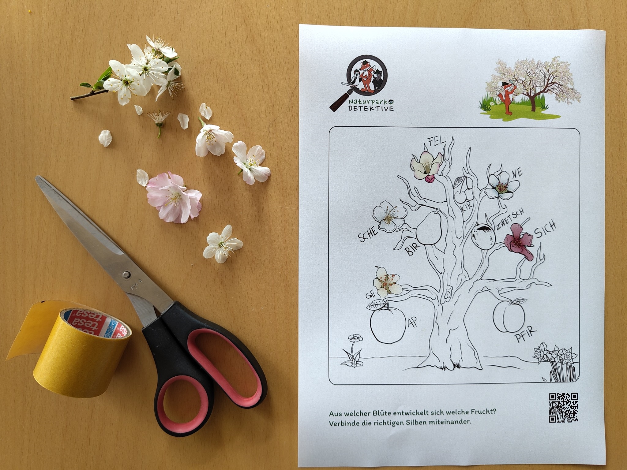 Blüten, Schere, Klebeband und ein Arbeitsblatt liegen zum Basteln auf einer Tischplatte