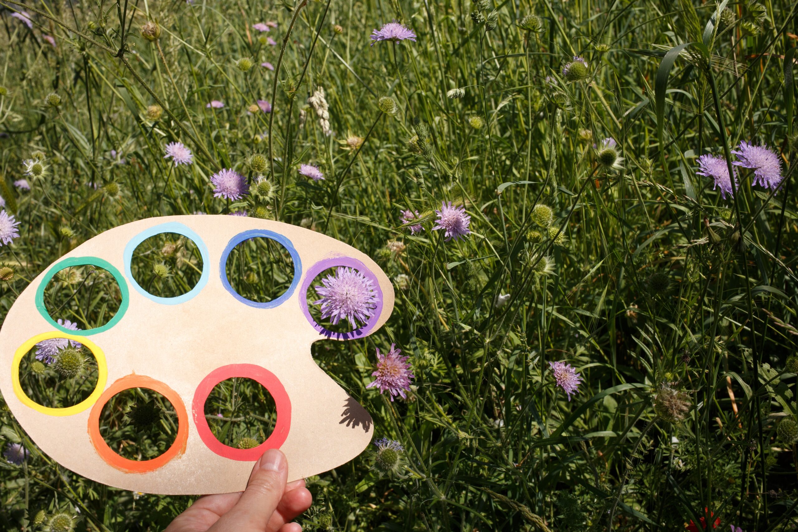 Farbpalette mit buntgerahmten Löchern wird vor eine lila Blüte in einer Wiese gehalten