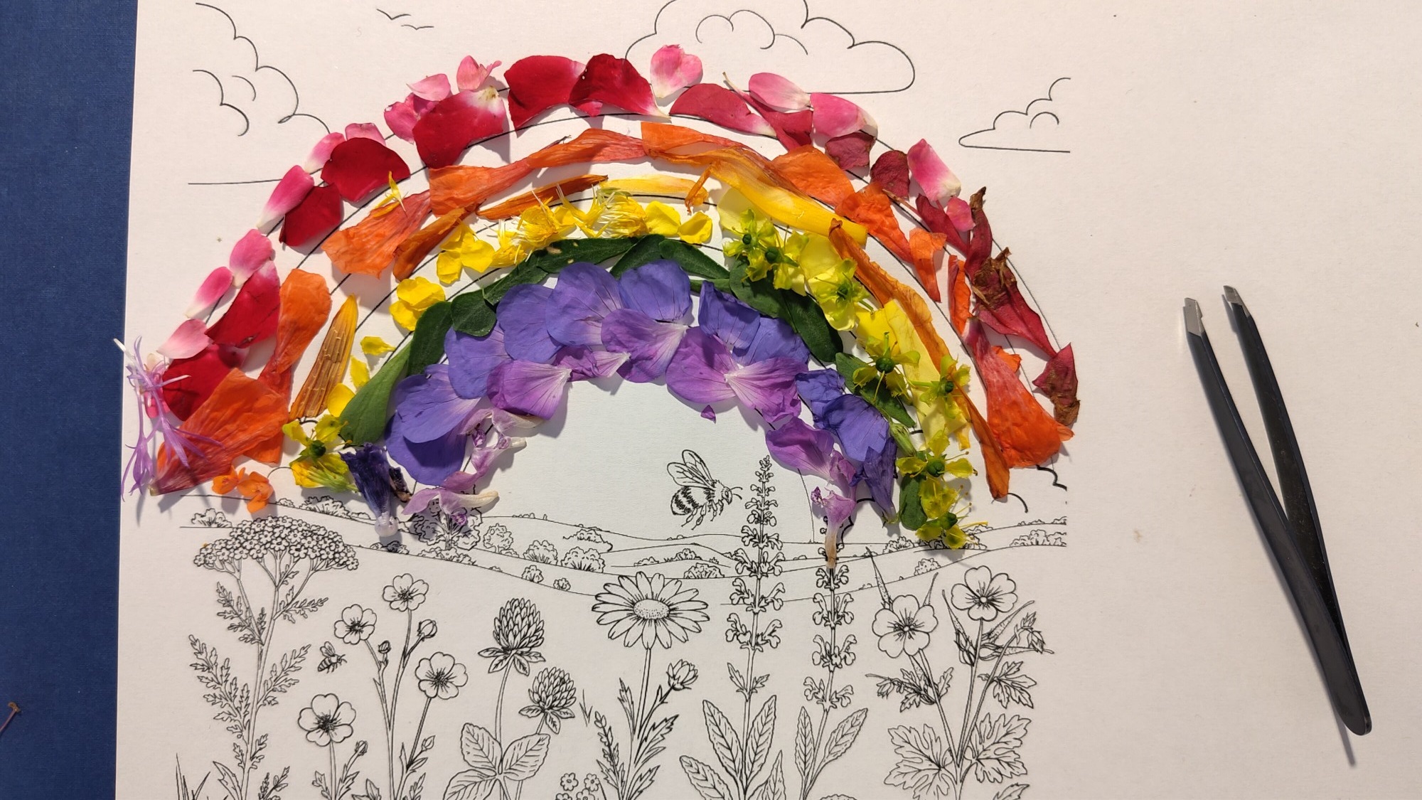 Regenbogen, aus bunten Blütenblättern angeordnet, und Pinzette liegen auf einem leeren Ausmalbild